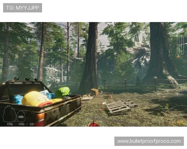 免费体验赏金女王模拟器试玩入口，感受最真实的虚拟战斗快感