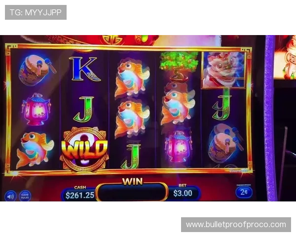 2024年最新老虎机地址登录入口大全，快速便捷安全可靠的官方入口推荐